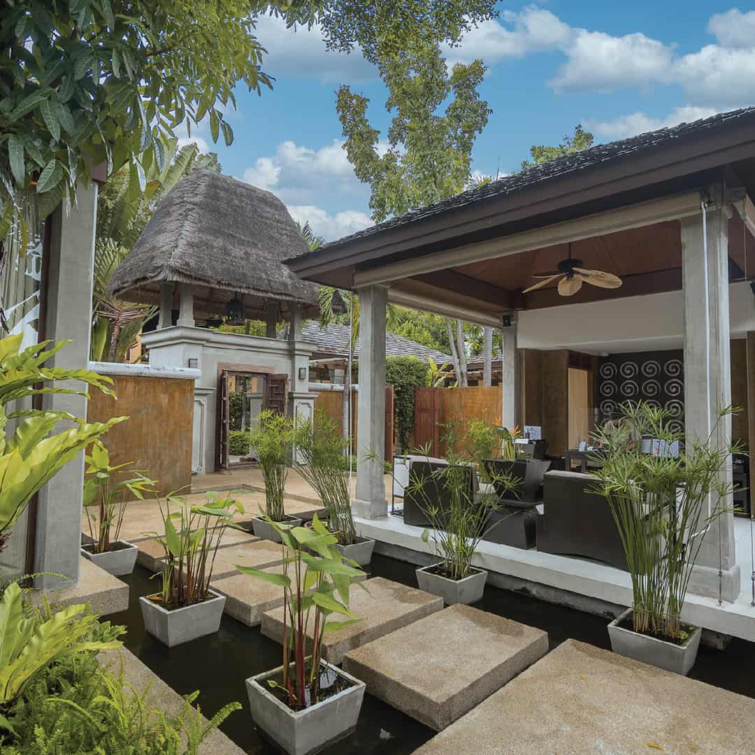 Indian Head Massage - Image 3