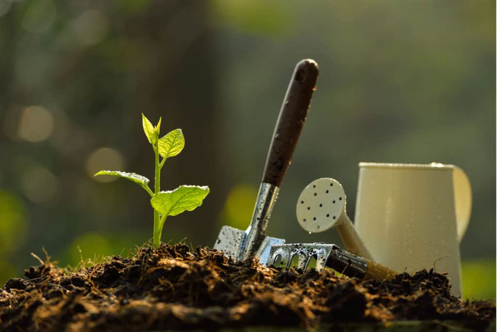 Team-building-in-Hua-Hin7 Team Building in Hua Hin