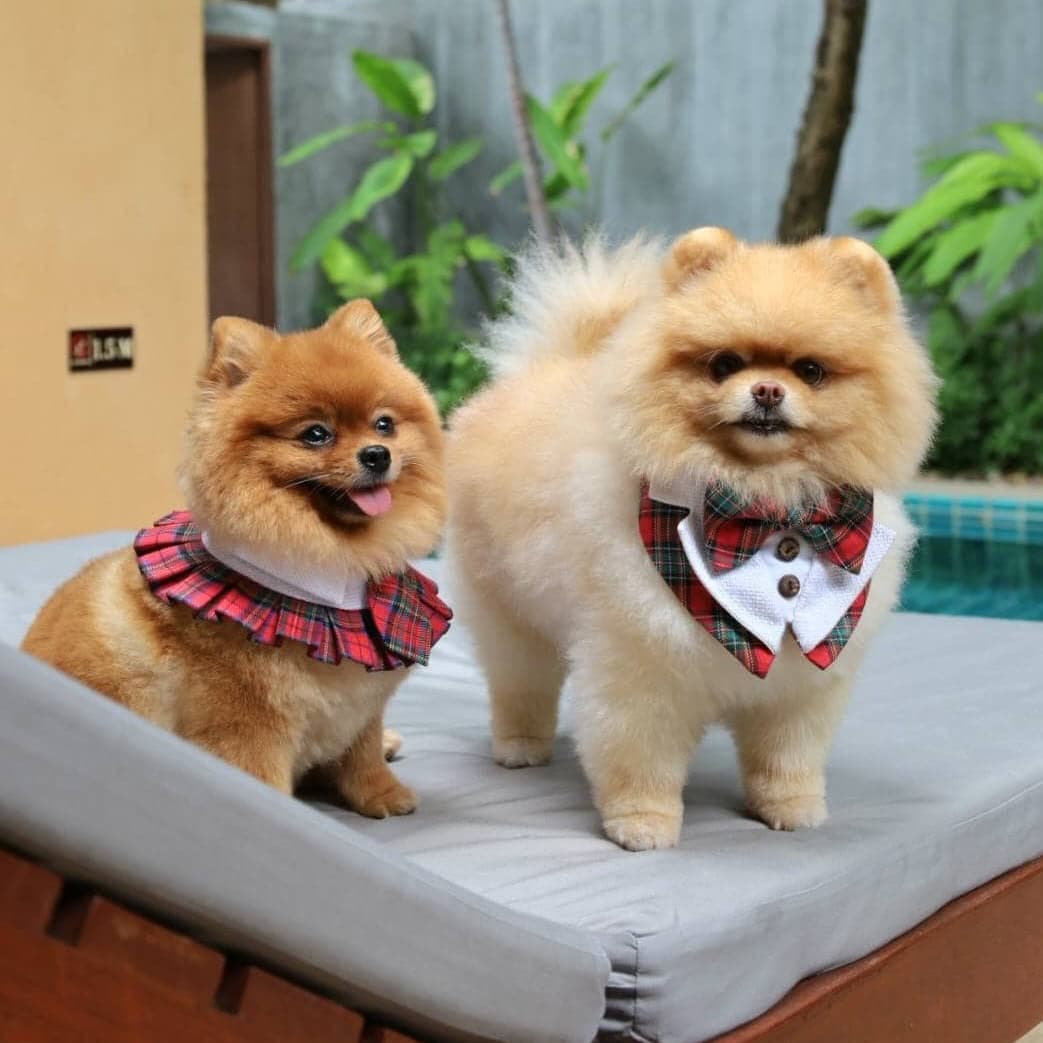 Private Pool Villa - Image 5