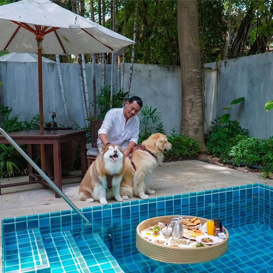 2 Bedrooms Private Pool Villas - Image 2