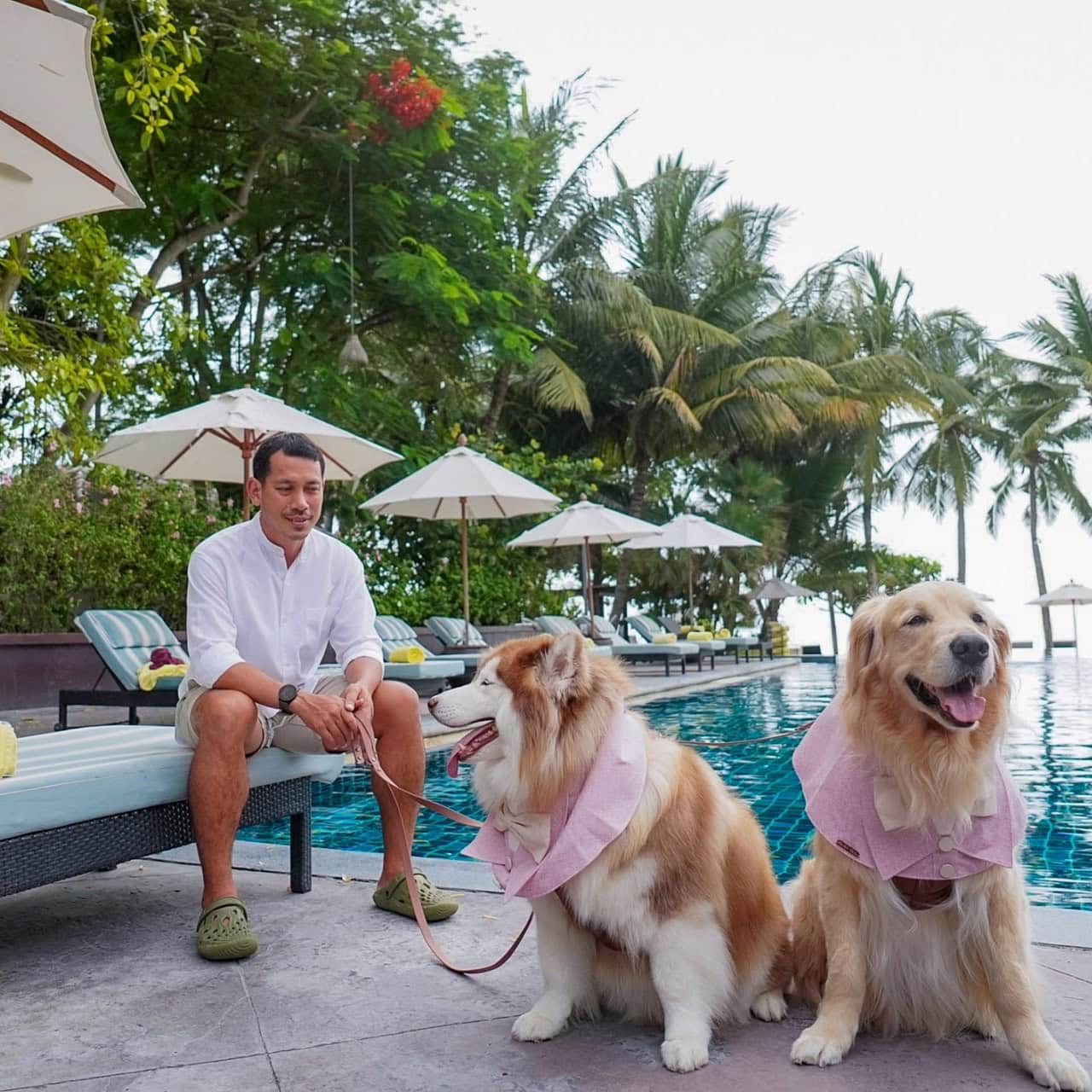 Private Pool Villa - Image 6