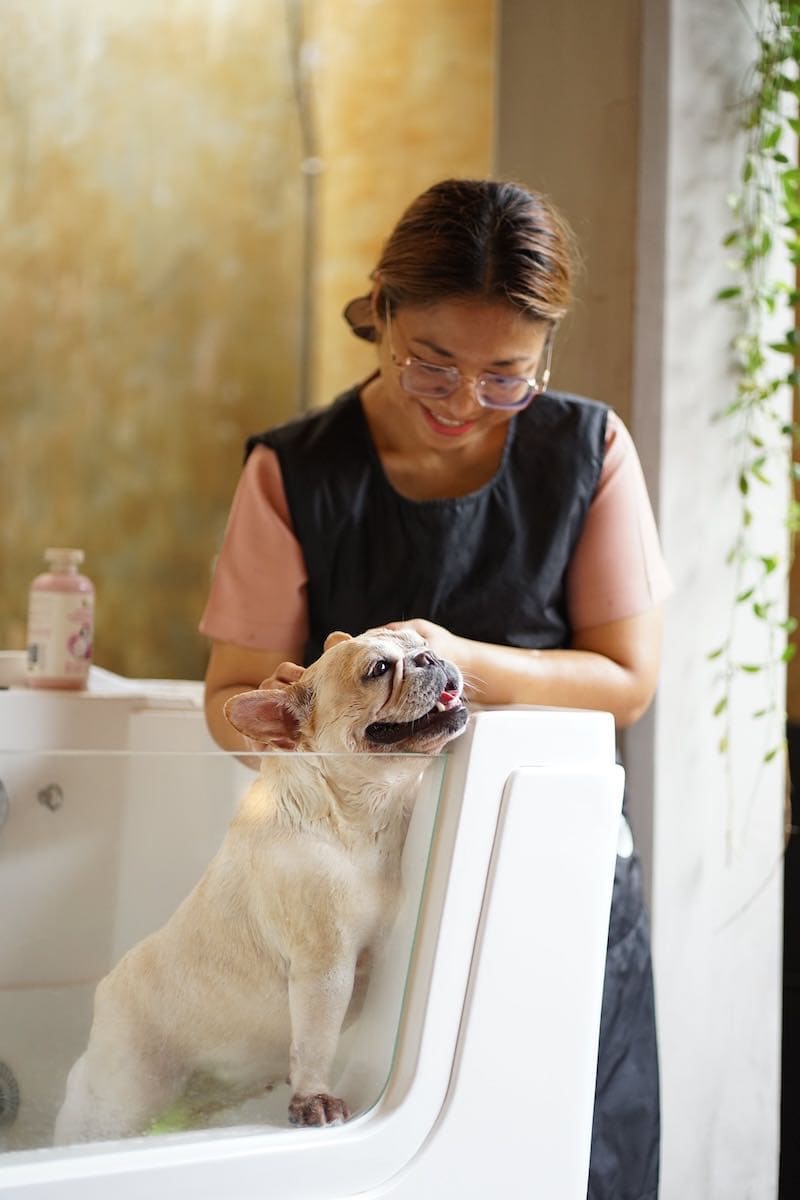Private Pool Villa - Image 4