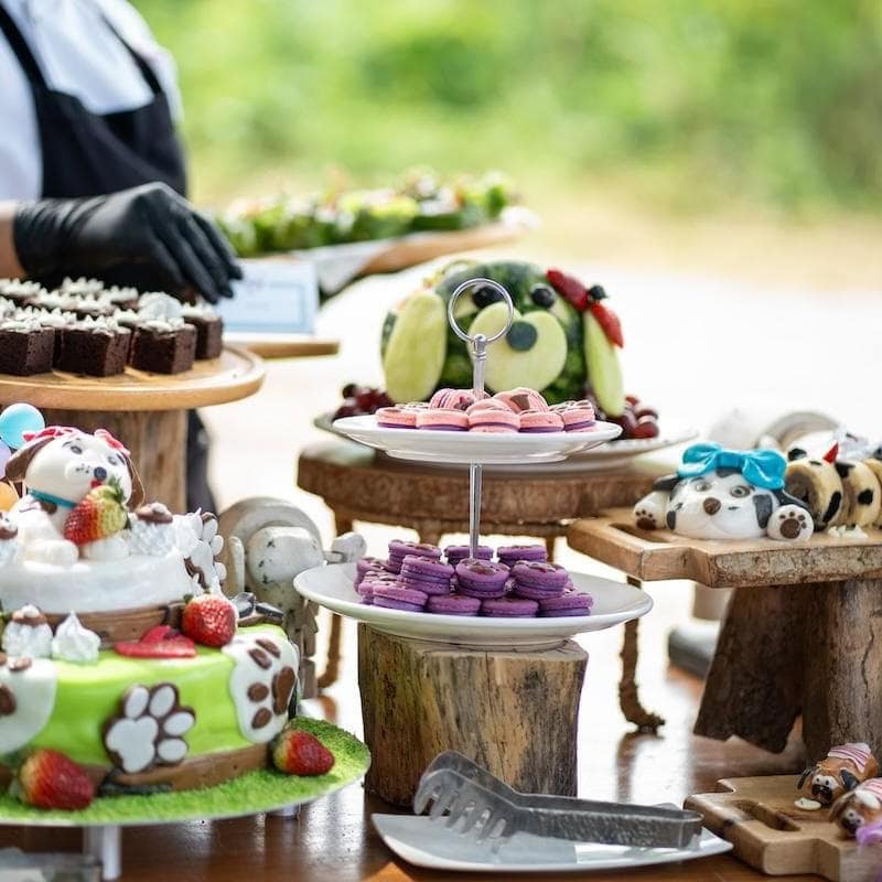 Barks & Bubbles - Image 3