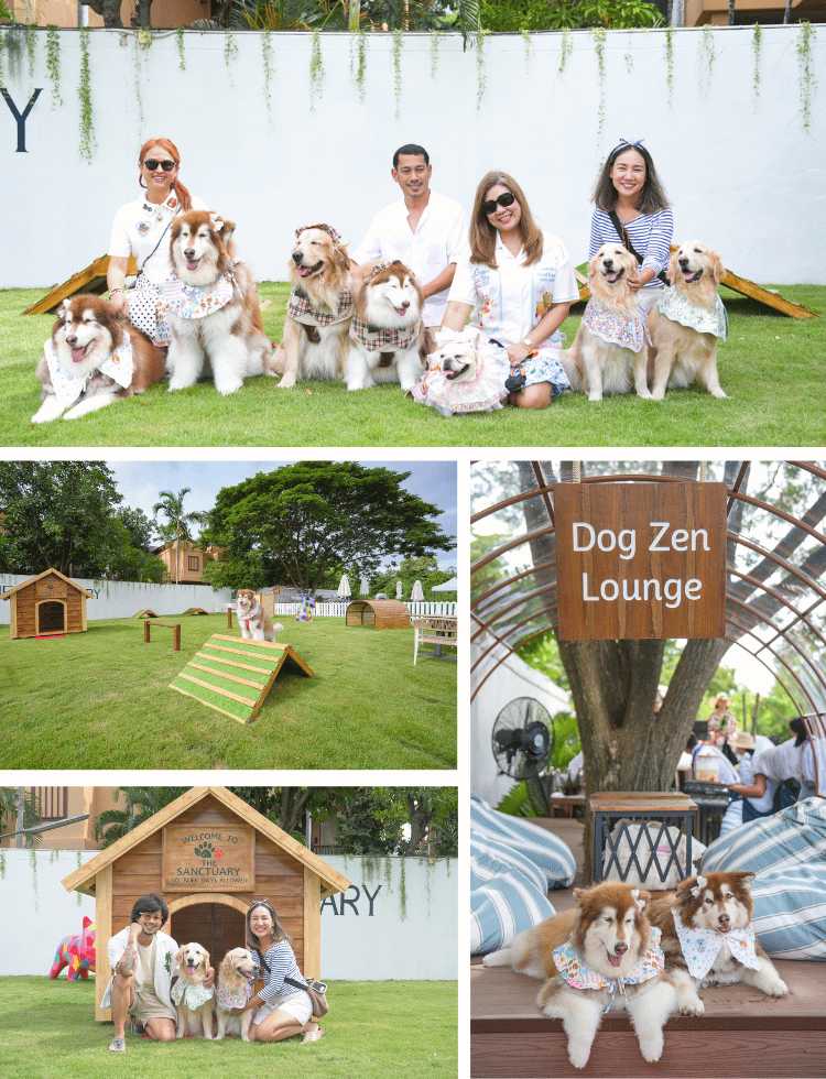 hua hin pet activity