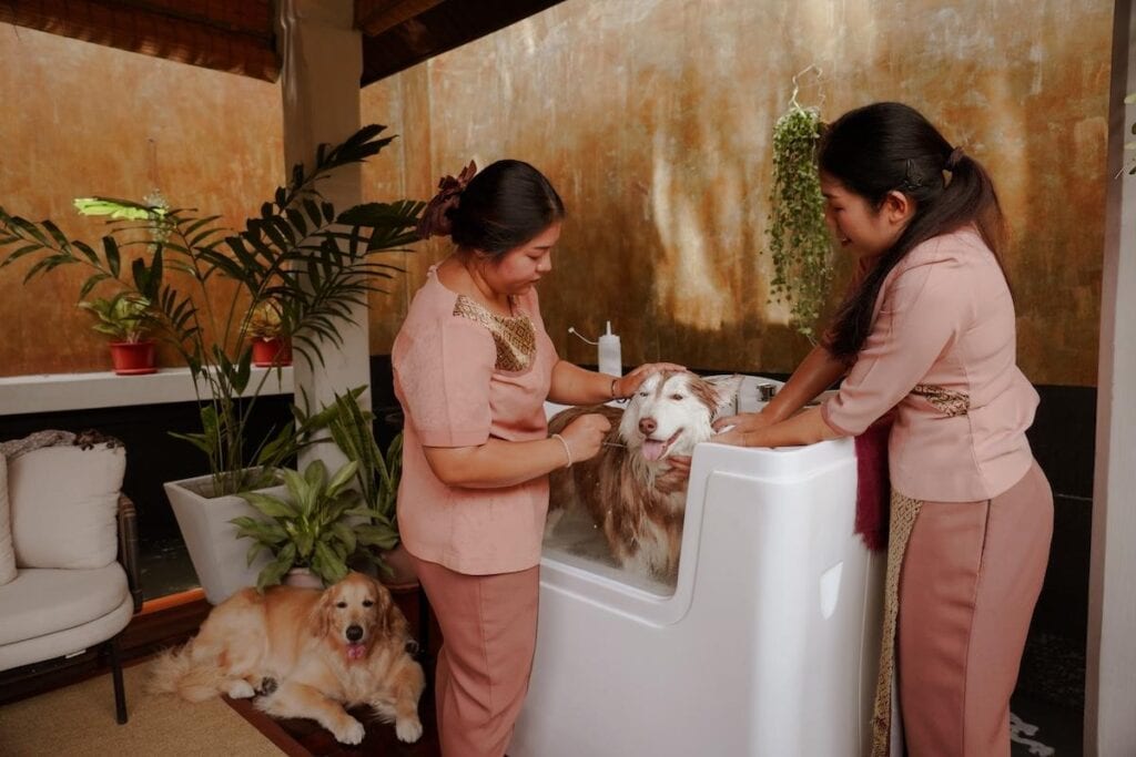 pet spa in hua hin