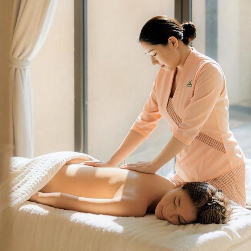 Wellness Journey – Deep Sleep Program (75 Min)